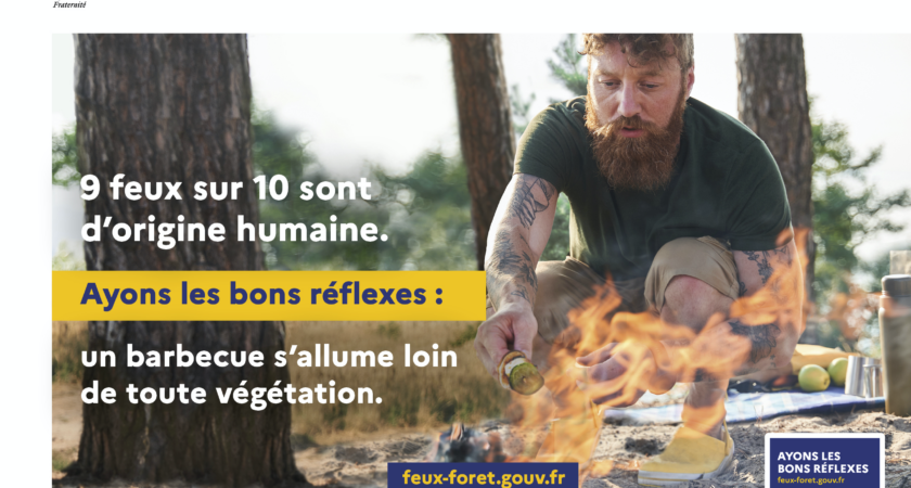 Feu de forêt et végétation