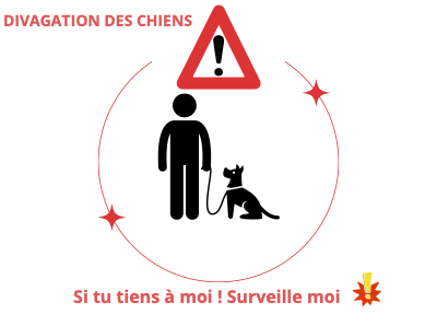 Arrêté circulation et divagation des chiens